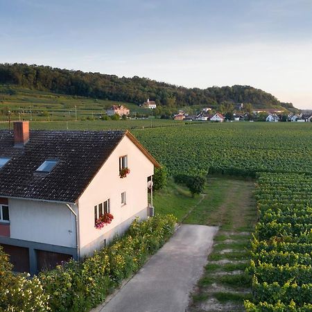 Ferienwohnung Mit 65Qm Niederrotweil Luaran gambar