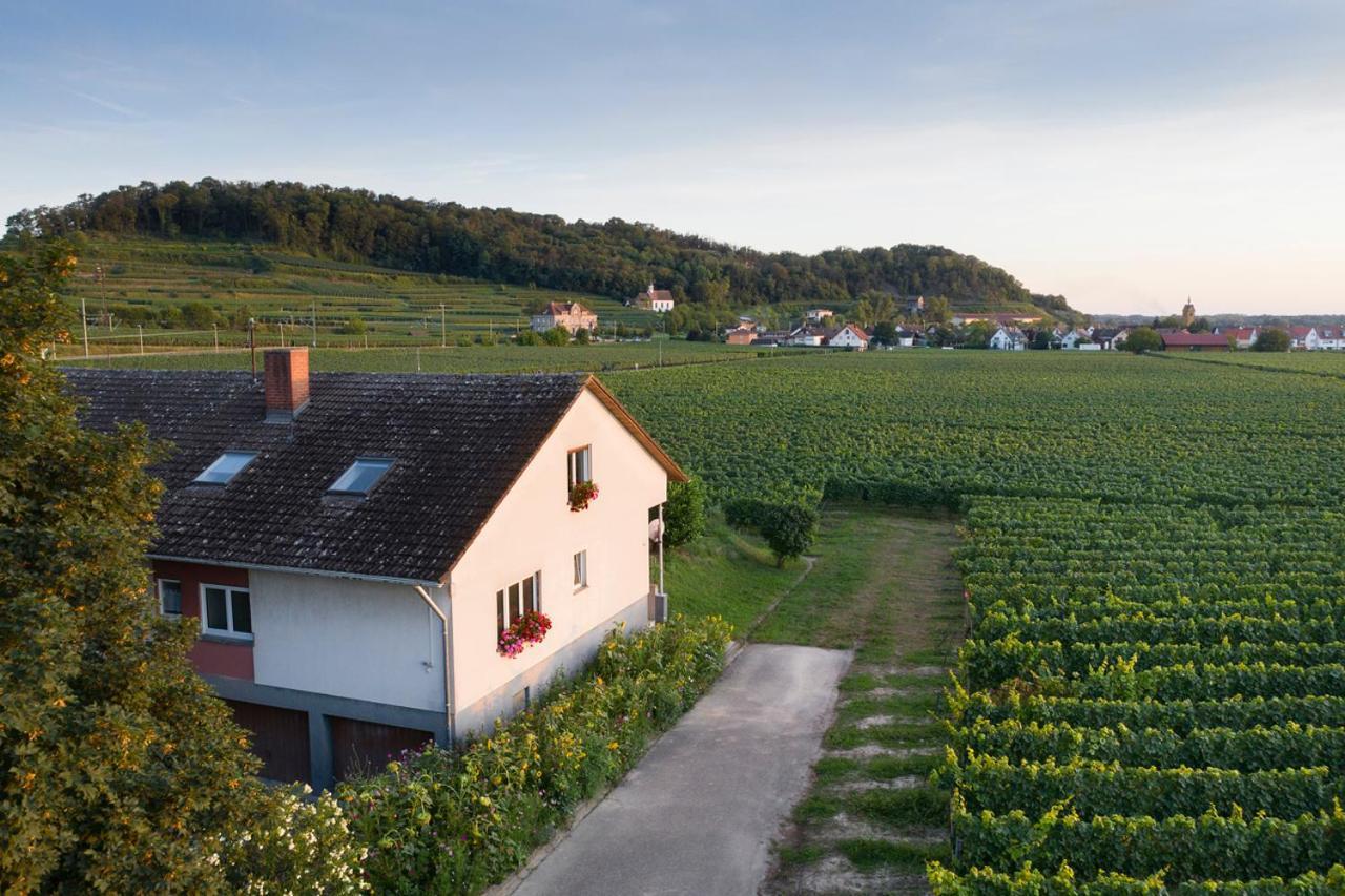 Winzerhof Henkenberg Apartment Niederrotweil Luaran gambar