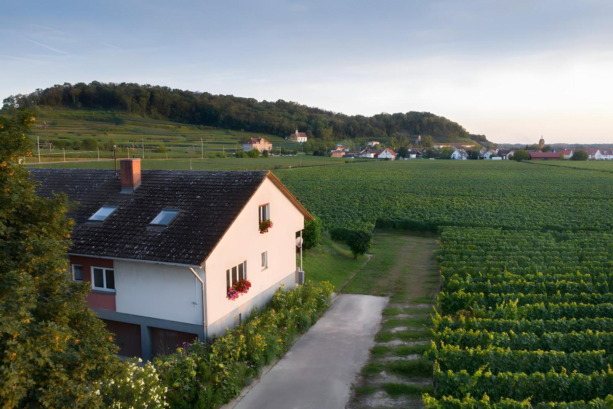Ferienwohnung Mit 65Qm Niederrotweil Luaran gambar